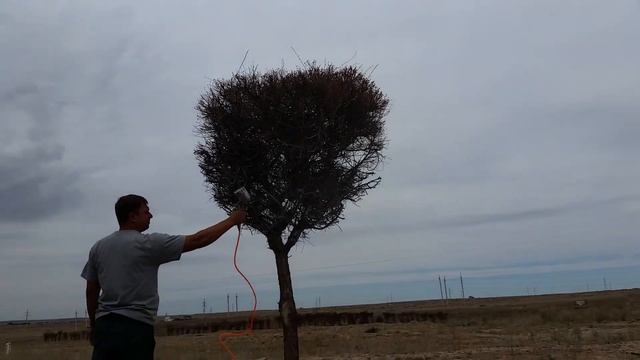 Покраска дерева в белый смотреть онлайн