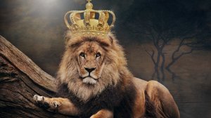 Я ЦАРЬ САВАННЫ. ЗАГОВОР ПОБЕДЫ. ОЧЕНЬ СИЛЬНО. ДЛЯ ВСЕХ ВЕДЬМИНА ИЗБА - ИНГА ХОСРОЕВА