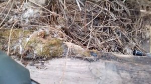 рыбалка на прудах Воронежской области