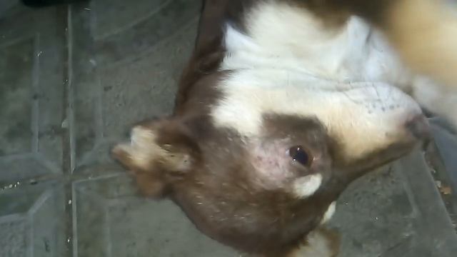 На мой день рождения,пропал малыш.?? смотреть онлайн