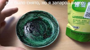 СПИРУЛИНА для анциструсов. новые мальки от супер-рэдов.