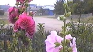 Моя Белоярка 1999 год