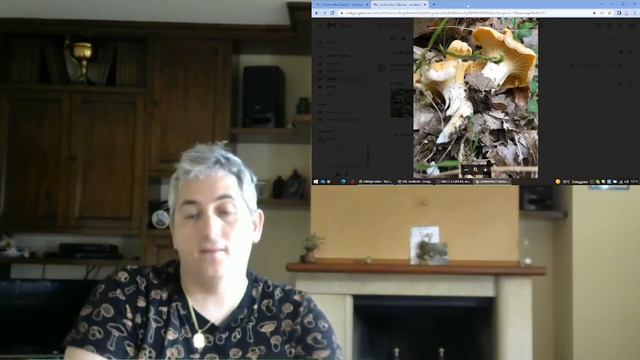 Cantharellus cibarius - conoscere i funghi - Pillole di Micologia con Giacomo Ciabatti Isp. Micolog смотреть онлайн