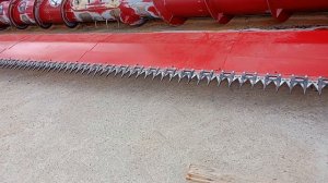 Приставка для уборки рапса (рапсовый стол) STROMAX 7 метров