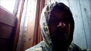 Поросятки#какую бункерную кормушку для свиней#поилка для поросят#