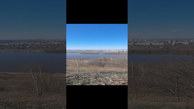 Видок