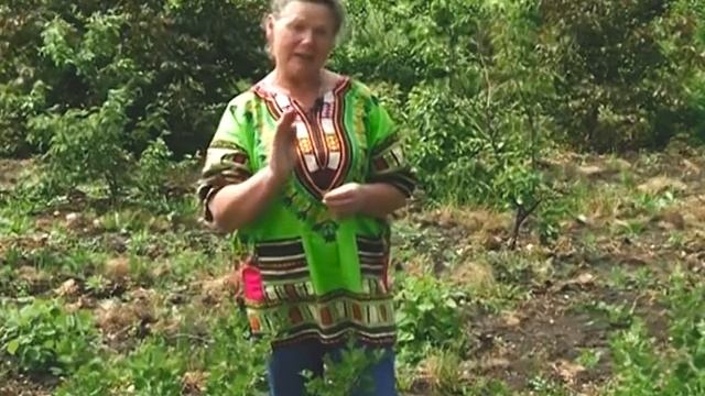 Огнёвка смотреть онлайн