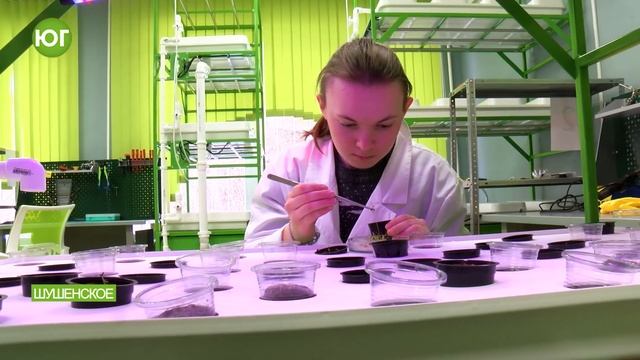 Агроном - профессия будущего