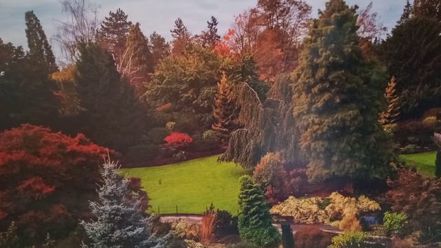 Красотой дел рук Твоих я восхищаюсь Господь. смотреть онлайн