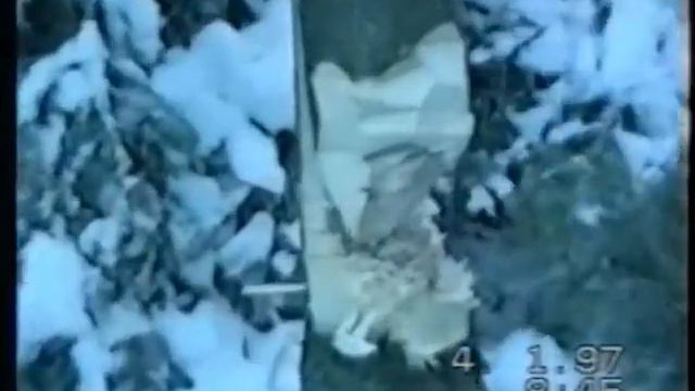 Рубят лес мужики смотреть онлайн