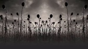 Dead Can Dance - 'Return of the She-King'