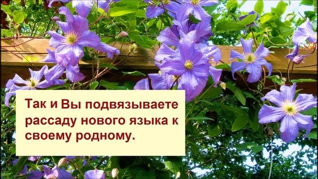 Турецкий по песням и караоке Hande Ünsal "Daha İyi" смотреть онлайн