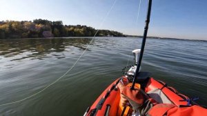 Сибирская осень ловля не крупного судака с Garmin Panoptix на реке Обь