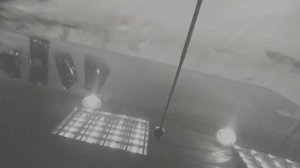 Проверка автомобиля на шпаклевку без толщиномера