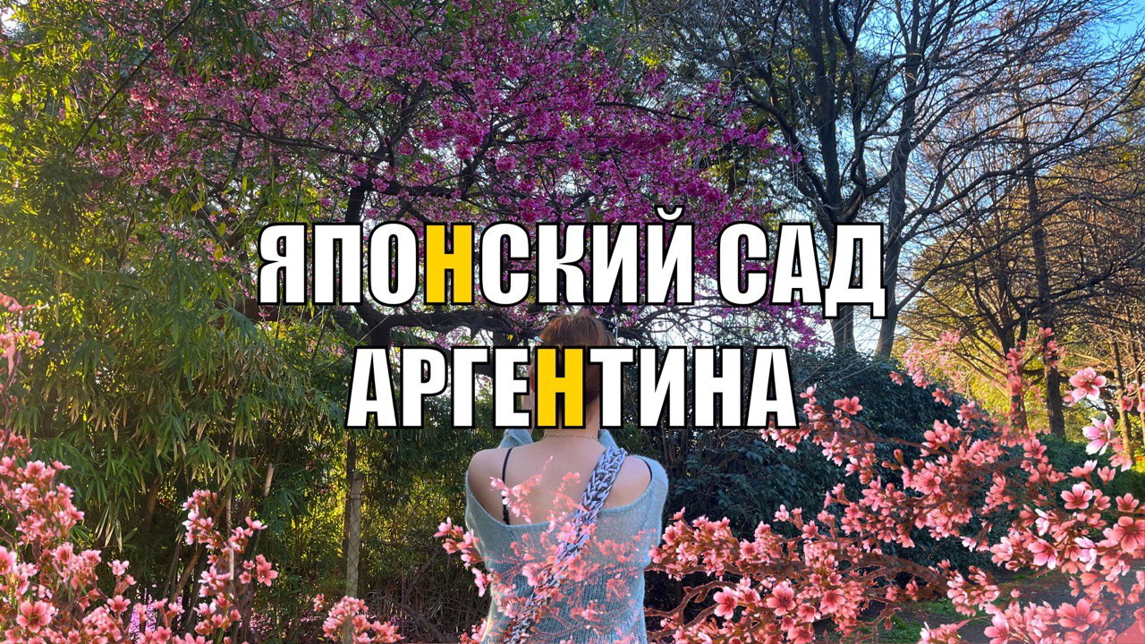 ПЕРЕЕЗД В АРГЕНТИНУ В 2023 | ЯПОНСКИЙ САД | САКУРА