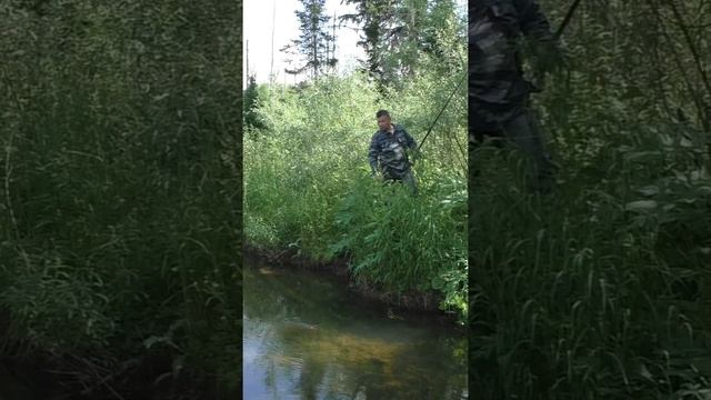 1482 Удочка Поплавок Тайга #дмитрийяков #рыбалка #тайга #fishing #hunting #хариус #выживалово #охота