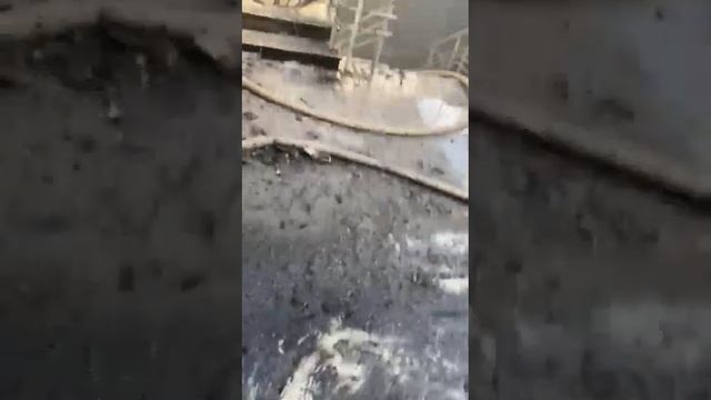 МеркурийКолхозный рынок