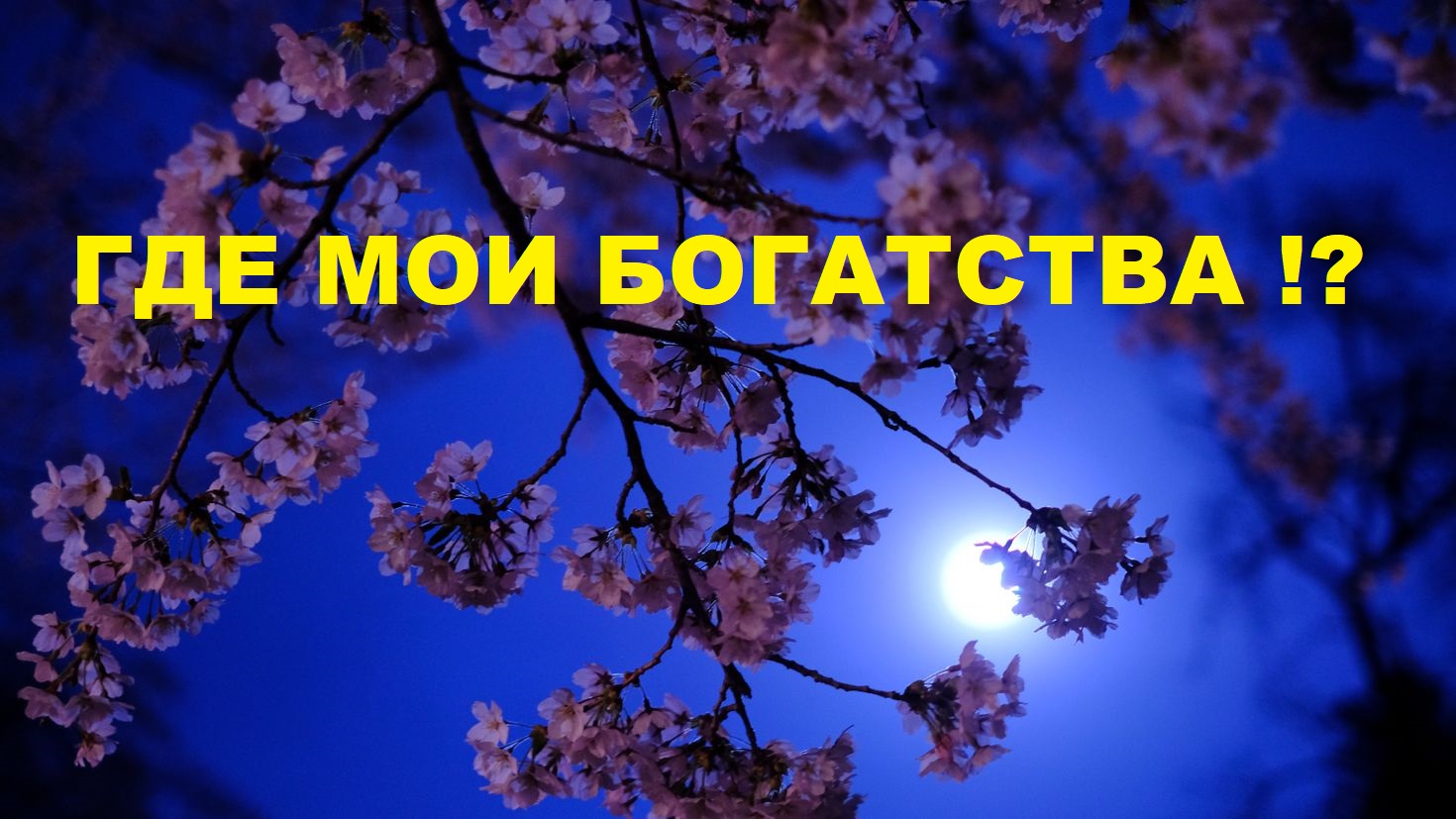 В КАКОЙ СФЕРЕ ВЫ СМОЖЕТЕ СТАТЬ БОГАТОЙ / Таро расклад