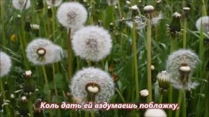 НЕ ПОЗВОЛЯЙ ДУШЕ ЛЕНИТЬСЯ . АВТОР СТИХОТВОРЕНИЯ НИКОЛАЙ ЗАБОЛОЦКИЙ