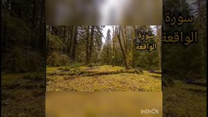 #Сура:56 "Аль-Вакиа"(سورة الواقعة)чтец:Омар Хишам