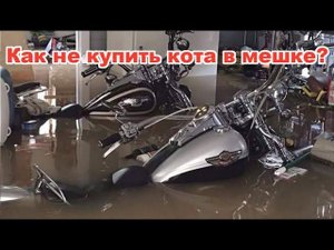 Как не купить кота в мешке?