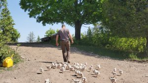 TWO YEARS on YOUTUBE and Paying ALL Our Bills