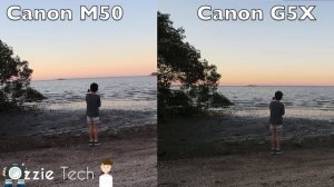 Canon M50 Vs Canon G5X Side by side