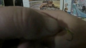 Простая оснастка поплавочной удочки для ловли форели.mp4