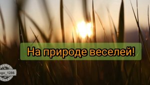 На природе веселей.