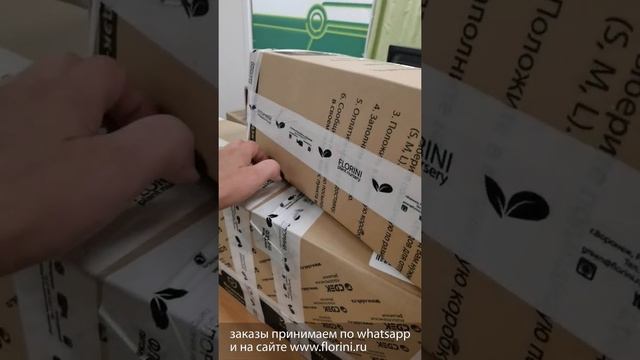 Как мы доставляем растения осенью, зимой и весной смотреть онлайн