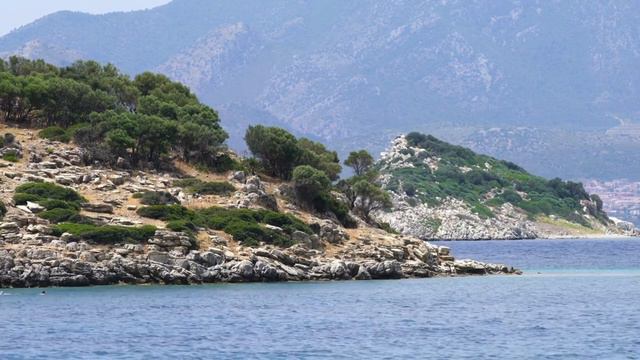 Сахих аль - Бухари. Хадисы 207 - 247. Книга частичного омовения смотреть онлайн