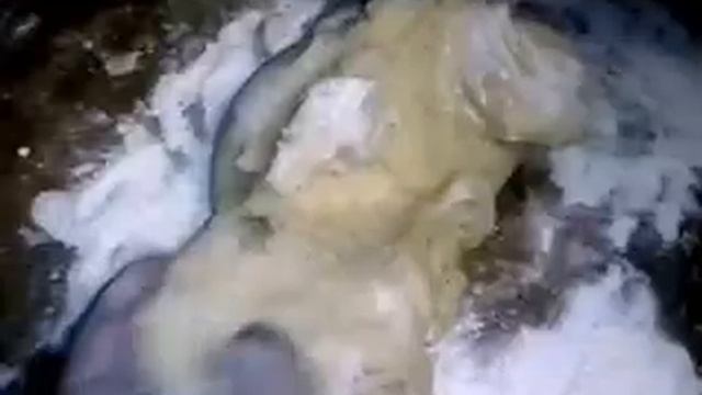 Печенье орешки смотреть онлайн