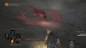 Рыцарь-раб Гаэль, Slave Knight Gael