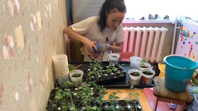 КУПИЛА ЗАБРОШЕННУЮ ДАЧУ/ПОДГОТОВКА К ДАЧНОМУ СЕЗОНУ/ОЧКЕЬ МНОГО РАССАДЫ/ТЯЖЕЛЫЙ ДЕНЬ/Я ЗАБОЛЕЛА смотреть онлайн