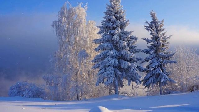 Год БЫКА смотреть онлайн