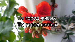 Есть на небе город чудный город Света. Иерусалим. фонограмма/минус. #христианскиепесни