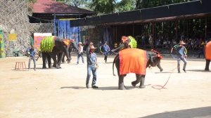 Слоники танцуют