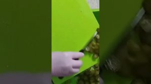Окрошка. Холодный суп.