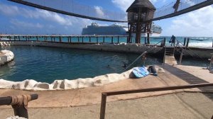 MEXICO  . COSTA MAYA . КОСТА МАЙЯ.  МЕКСИКА .ДЕЛЬФИНАРИЙ.