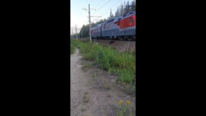 Пассажирский поезд догоняет и обгоняет грузовой  по соседнему пути.