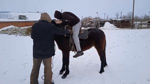 Обучение лошади Казахстан 2021