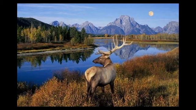 Helal Nassar - The Hidden Things смотреть онлайн