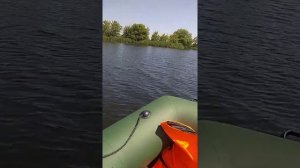 Лодочный мотор Меркурий 4 и лодка Аква 2900с