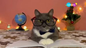 кисель_sba на карусель @Kotinet