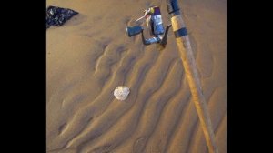 Невки 24.12.13.