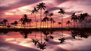 Perasma - Swing 2 Harmony (Monkz Remix)