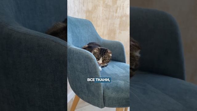 Как выбрать практичную ткань для кухонных стульев? смотреть онлайн