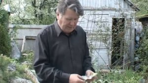 Валерий Панов: Как бороться с луковой мухой?
