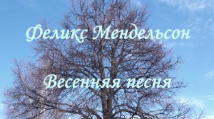Yamaha PSR E-463. Ф.Мендельсон, Весенняя песня.
