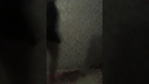 Мои фигурные купальники